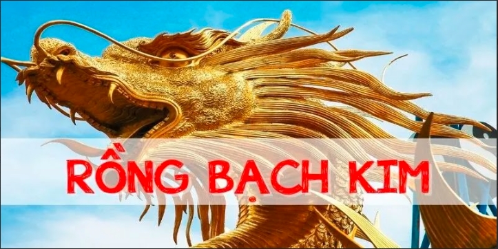 Khái niệm về Rồng Bạch Kim 666 tại Kubet 